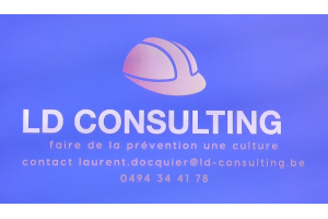 LD_consulting_200